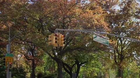 A picturesque autumn intersection featuring vibrant traffic lights alongside Stock Footage 291014571