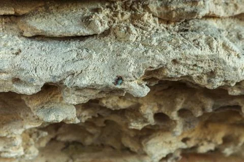 Picturesque background of collapsing surface of limestone rock. Abstract beau Stock Photos