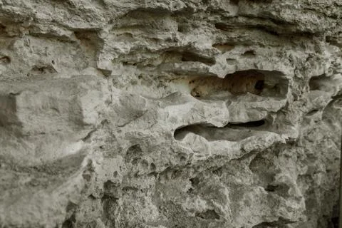 Picturesque background of collapsing surface of limestone rock. Abstract beau Stock Photos