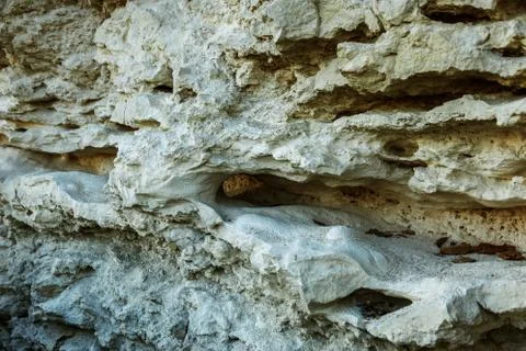 Picturesque background of collapsing surface of limestone rock. Abstract beau Stock Photos