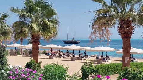 A picturesque beach Stock Footage 336208609