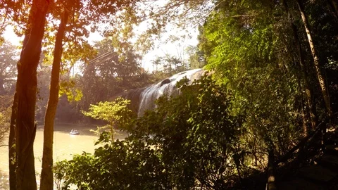 Picturesque Cataract of Datanla Waterfall through the Trees Video stock 87892152