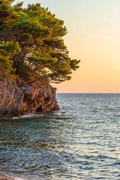 Picturesque Cliffs with pine trees at Sunset Stock Photos