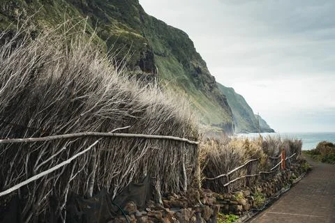 A picturesque coastal path bordered by a rustic dry plant fence, leading alon Stock Photos