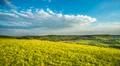 The picturesque field on the background of cloud. Wide angle Photo