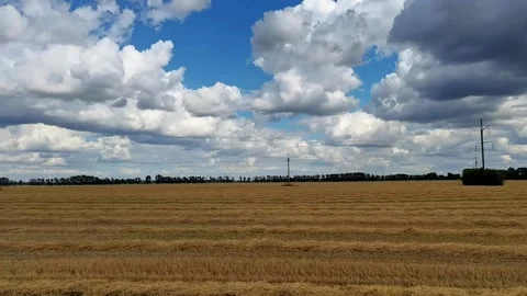 Picturesque fields, blue sky with white clouds, side view from a moving car. Video stock 166130940