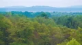 The picturesque forest, view with hill by mountain background 4k or 4k+ Resolution