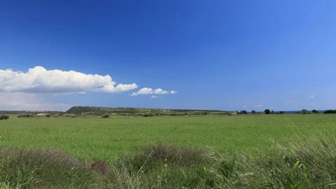 Picturesque green fields in Cyprus. Video stock 175133594