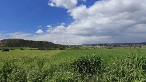 Picturesque green fields in Cyprus. Video stock 175134105