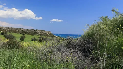 Picturesque green fields in Cyprus. Video stock 175143079