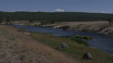 Picturesque Image of Madison River Video stock 86756415