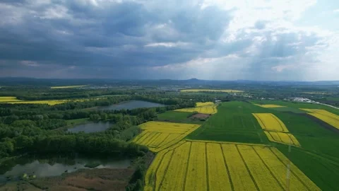 A picturesque landscape of blooming rape fields, a lake and a forest. Stock Footage 241647333