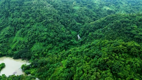A picturesque landscape featuring lush trees and fluffy clouds, with a distant w Stock Footage 287765463