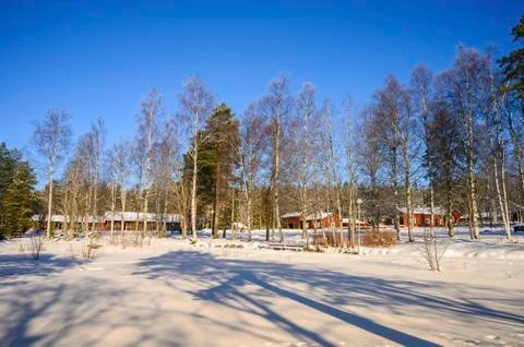 Picturesque long shadow of alpine tree of untouched snow. Beautiful winter la Stock Photos