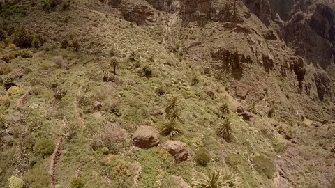 Picturesque mountain landscape. ravine Mask of Tenerife Spain Stock Footage