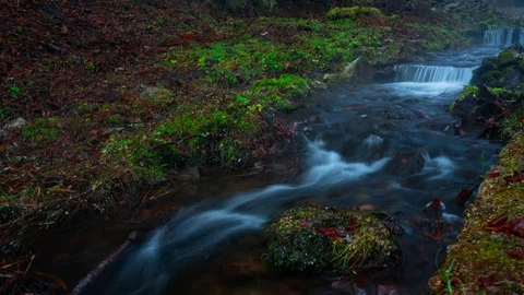 Picturesque mountain river close up. Time lapse, 8K video Stock Footage 99351157