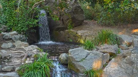 Picturesque mountain stream Stock Photos
