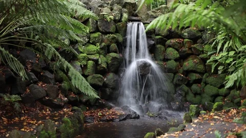 Picturesque Park Waterfall Stock Footage 133708952