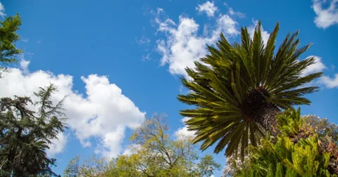 Picturesque Spring Stock Footage 37013327