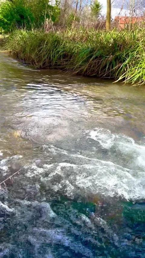 Picturesque stream 2 Stock Footage 238004541