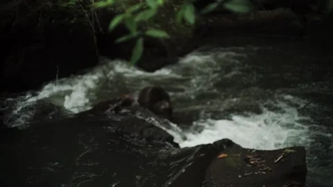 A picturesque stream flows along the rocks in Bali. Stock Footage 154160343