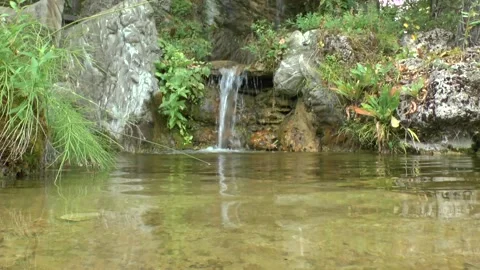 A picturesque stream in a mountain forest. Stock Footage 131317895