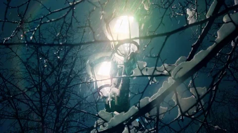 Picturesque streetlight view through tree branches with snow falling in big. Vidéo 102438803