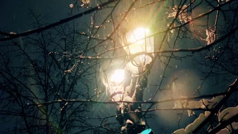 Picturesque streetlight view through tree branches with snow falling in big. Stock Footage 102438811