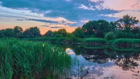 Picturesque summer nature. Clouds quickly swim around sky. Slow beautiful riv Stock Footage 198720467