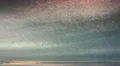 The picturesque sunset (sunrise) and clouds HD Footage
