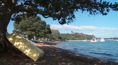 Picturesque tree lined beach front Video stock 39574056