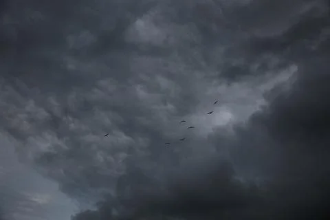 Picturesque view of birds in sky with heavy rainy clouds Stock Photos