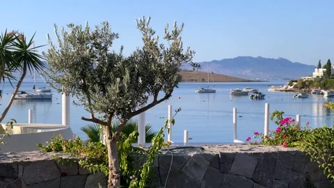 A picturesque view of Bitez Bay in Turkey, framed by olive trees and blooming bo Stock Footage 344442484