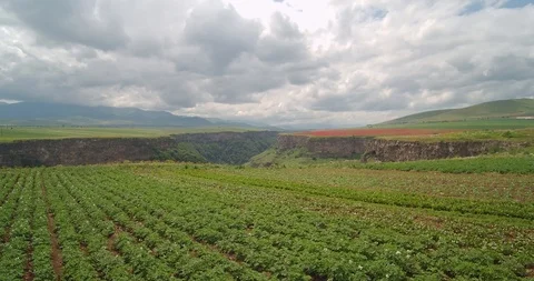 Picturesque View on Canyon Stock Footage 89891243
