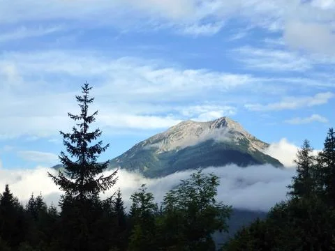 A picturesque view of the mountain rock slope covered with green forest Stock Photos
