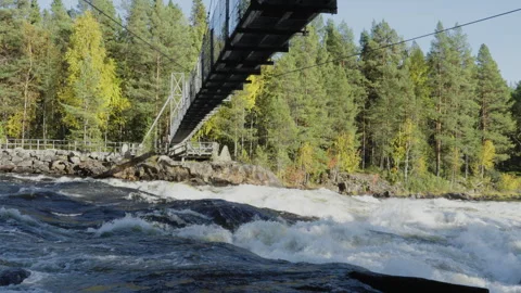 Picturesque view of the Vindel River rapids flowing under a pedestrian susp.. Stock Footage 323970210