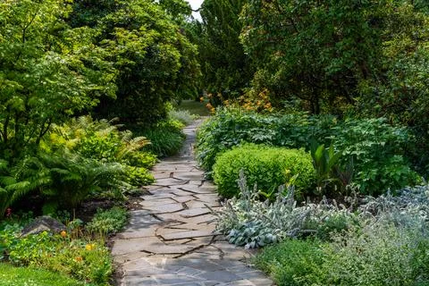 Picturesque walking path surrounded by flowering plants, lush vegetation in p Фото