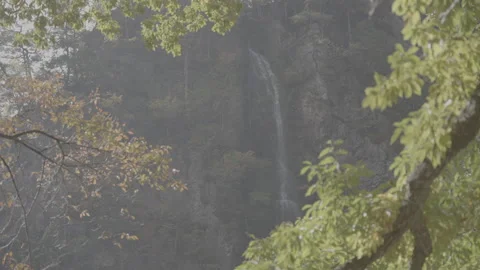 Picturesque Waterfall Framed by Tree Branches in Forest Log Stock Footage 340540895