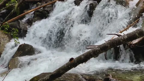 Picturesque waterfall from a mountain river in the forest. Stock Footage 160860372