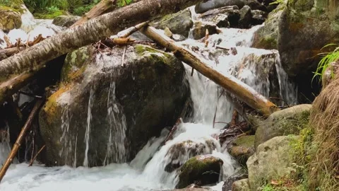 Picturesque waterfall from a mountain river in the forest Stock Footage 160860379