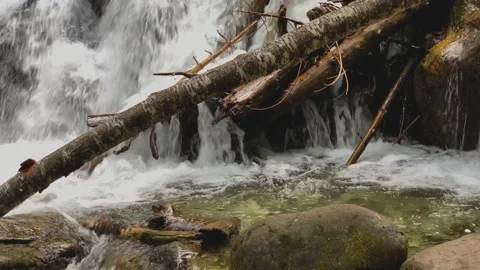 Picturesque waterfall from a mountain river in the forest. Stock Footage 160860432