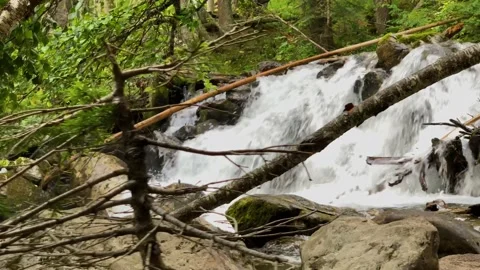 Picturesque waterfall from a mountain river in the forest. Stock Footage 160860865