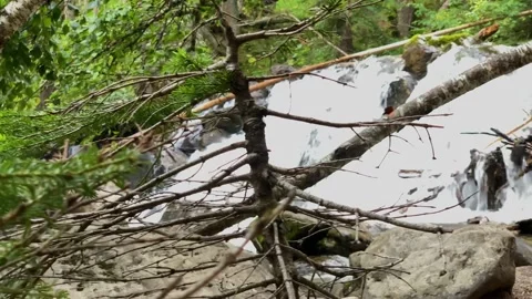 Picturesque waterfall from a mountain river in the forest Stock Footage 160860901