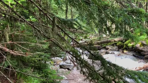 Picturesque waterfall from a mountain river in the forest. Stock Footage 160860912