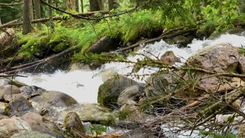 Picturesque waterfall from a mountain river in the forest. Stock Footage 160861427