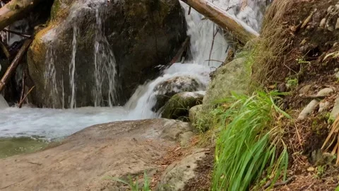 Picturesque waterfall from a mountain river in the forest 库存影片 160861477
