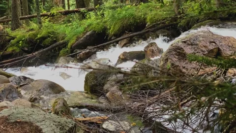Picturesque waterfall from a mountain river in the forest Stock Footage 160861517