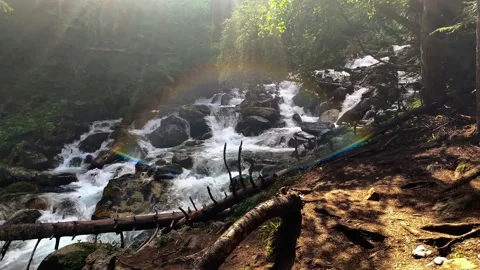 Picturesque waterfall from a mountain river in the forest. Stock Footage 160861907