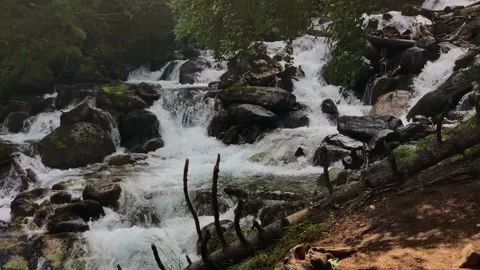 Picturesque waterfall from a mountain river in the forest Stock Footage 160861960