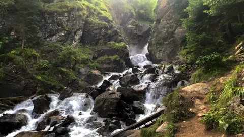 Picturesque waterfall from a mountain river in the forest. Stock Footage 160862810
